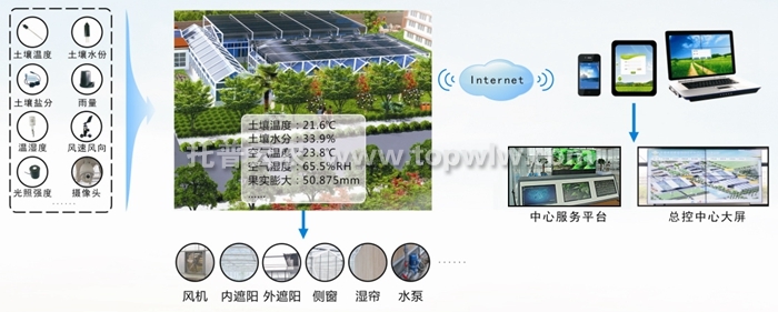 農業物聯網系統在溫室大棚中價值體現