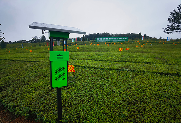 數字茶園綜合解決方案：打造數字化生態茶園